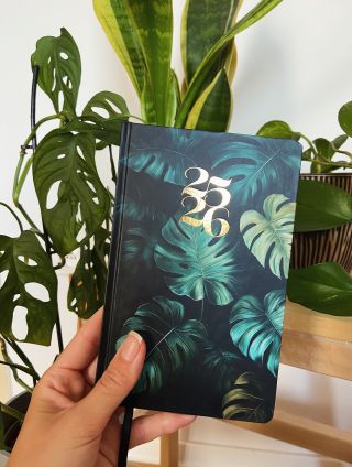 🌿 Vedela si, že Monstera je symbolom sebavedomia a zmyslu pre štýl? Ak je tvojou obľúbenou rastlinou, vieš, že život je...